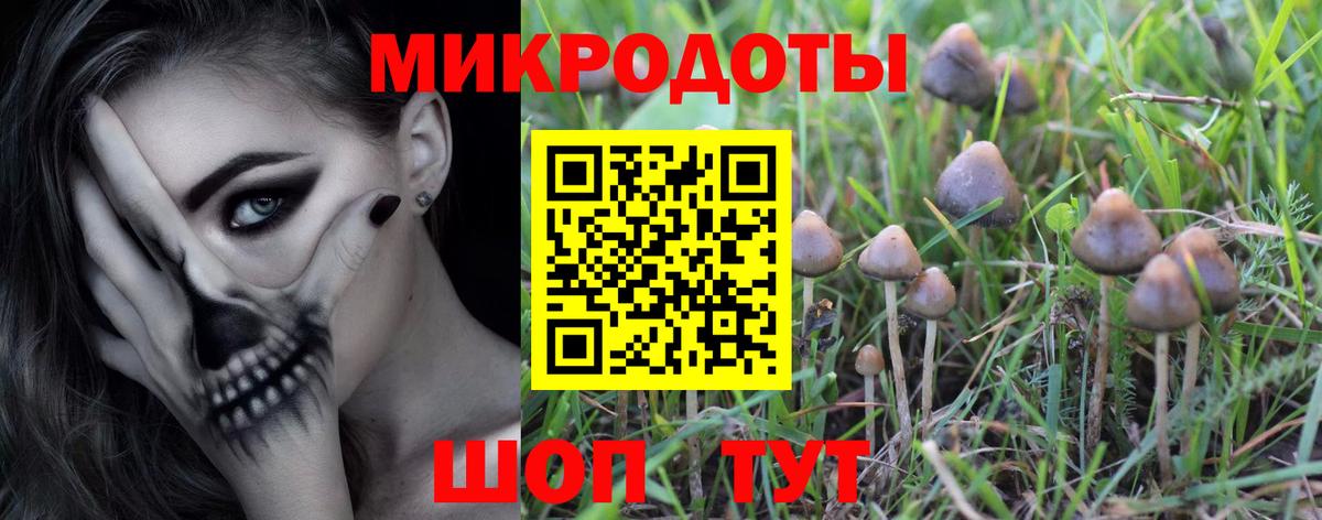 Галлюциногенные грибы Psilocybe  Вход с VPN  Галлюциногенные грибы GOLDEN TEACHER  Среднеуральск 